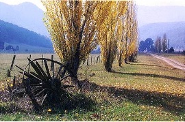 Beechworth Accommodation